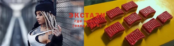 стаф Новосибирск