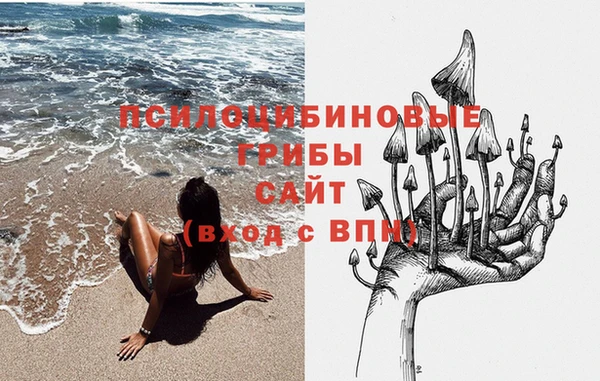 PSILOCYBIN Фёдоровский